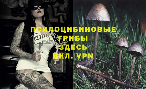 гашишное масло Белокуриха