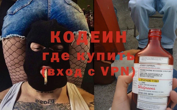 прущие грибы Болотное