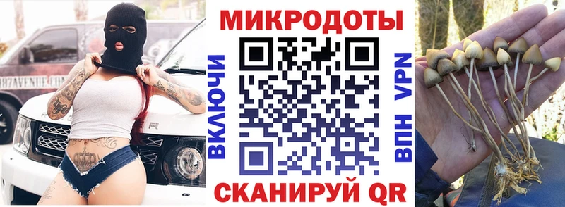 где можно купить   Воскресенск  Галлюциногенные грибы Magic Shrooms 