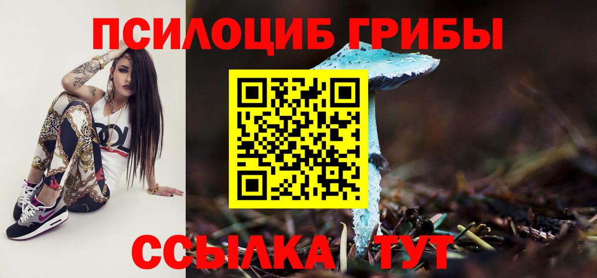 Воскресенск  Псилоцибиновые грибы ЛСД  Псилоцибиновые грибы прущие грибы  Вход с VPN 